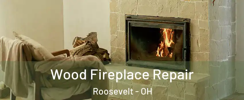 Wood Fireplace Repair Roosevelt - OH