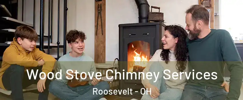 Wood Stove Chimney Services Roosevelt - OH