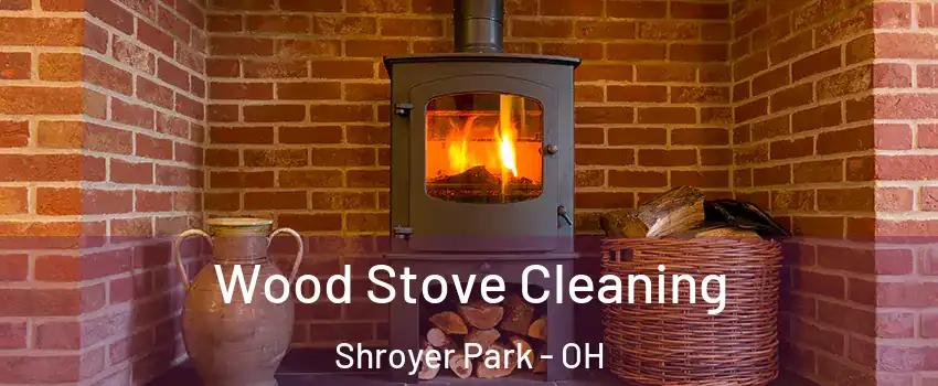 Wood Stove Cleaning Shroyer Park - OH