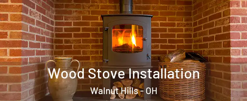 Wood Stove Installation Walnut Hills - OH